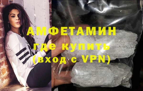 ПСИЛОЦИБИНОВЫЕ ГРИБЫ Горно-Алтайск