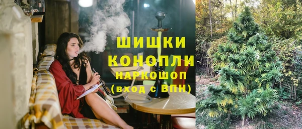 ПСИЛОЦИБИНОВЫЕ ГРИБЫ Горно-Алтайск