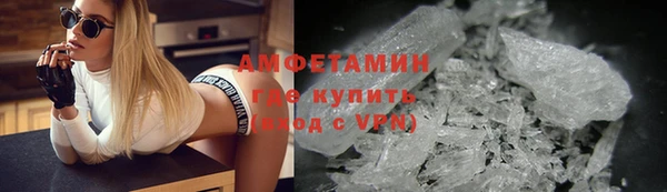 ПСИЛОЦИБИНОВЫЕ ГРИБЫ Горно-Алтайск
