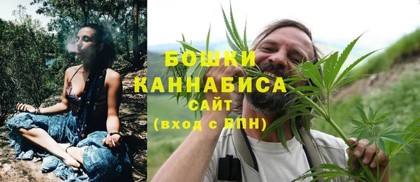 Альфа ПВП Горнозаводск