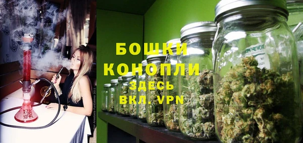 ПСИЛОЦИБИНОВЫЕ ГРИБЫ Горно-Алтайск