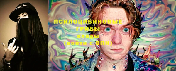 Альфа ПВП Горнозаводск