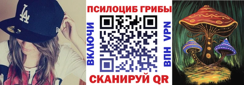 Галлюциногенные грибы MAGIC MUSHROOMS  Купить где  Луга 